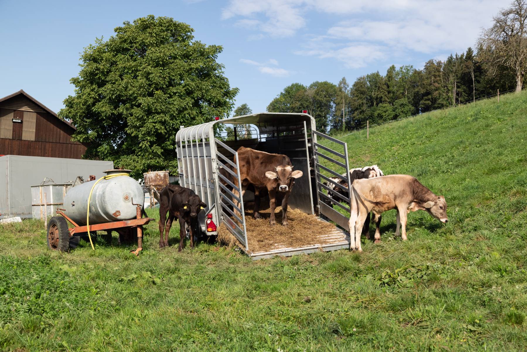 How to Prepare and Load a Livestock Trailer – Mother Earth News