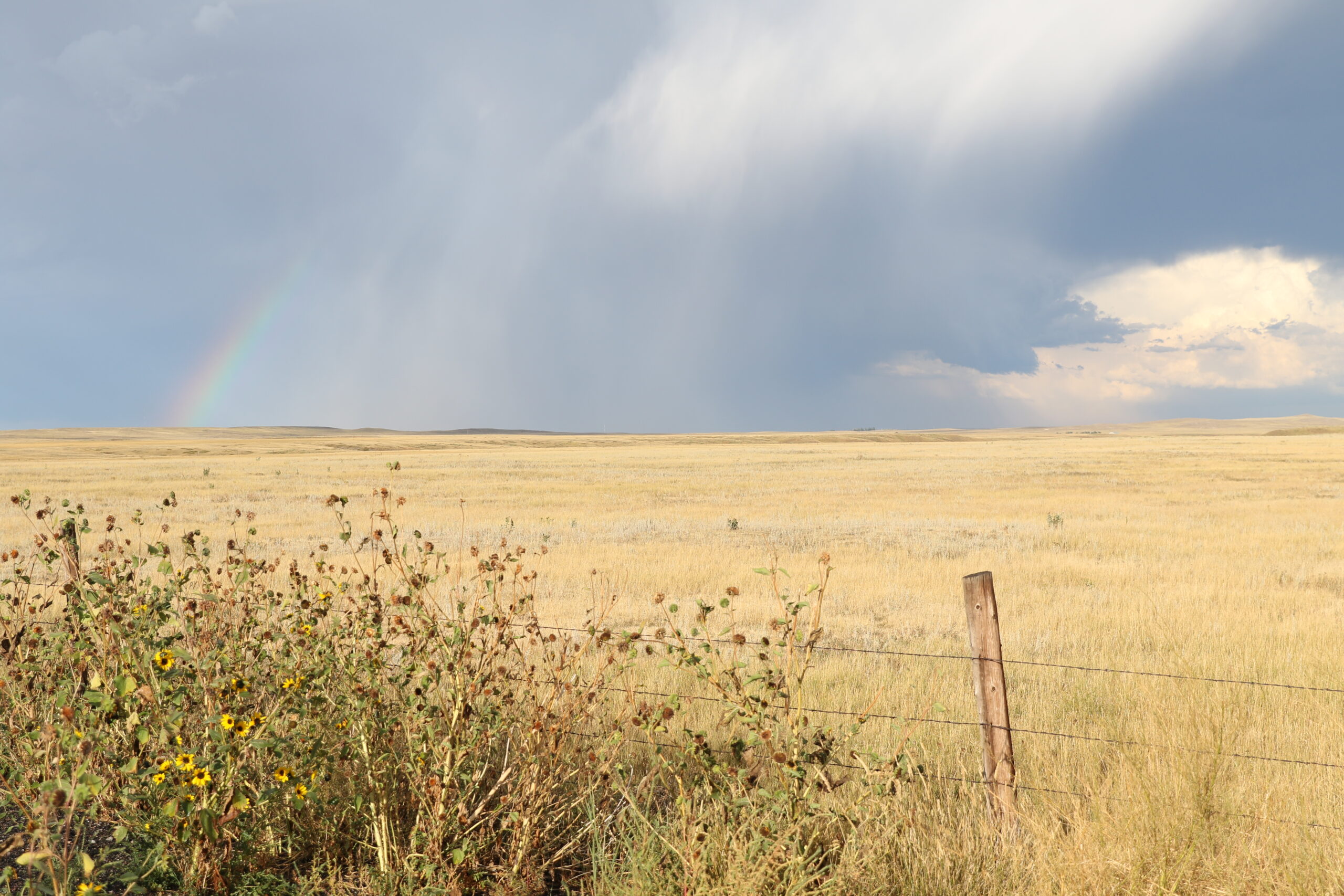 The PERFECT Place to Homestead • The Prairie Homestead