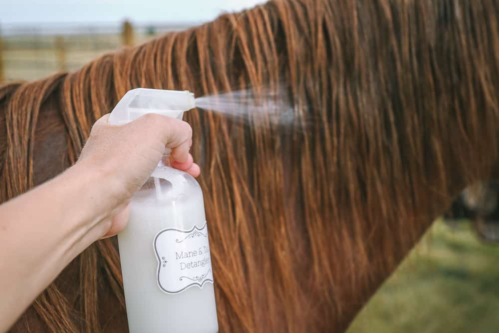 Horse Hair Detangler Recipe • The Prairie Homestead