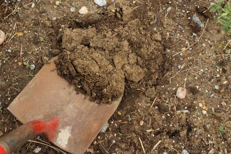 How to Fix Tainted Soil • The Prairie Homestead