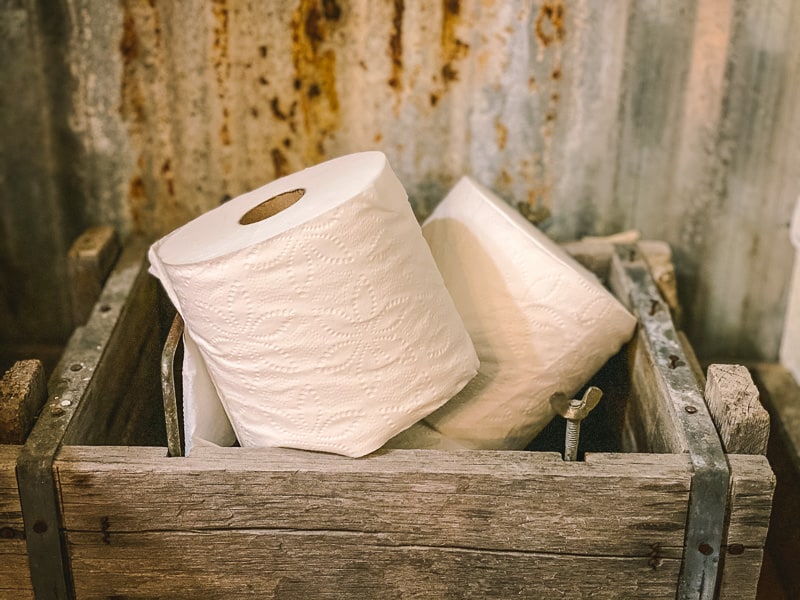 The Great Big List of Toilet Paper Alternatives • The Prairie Homestead