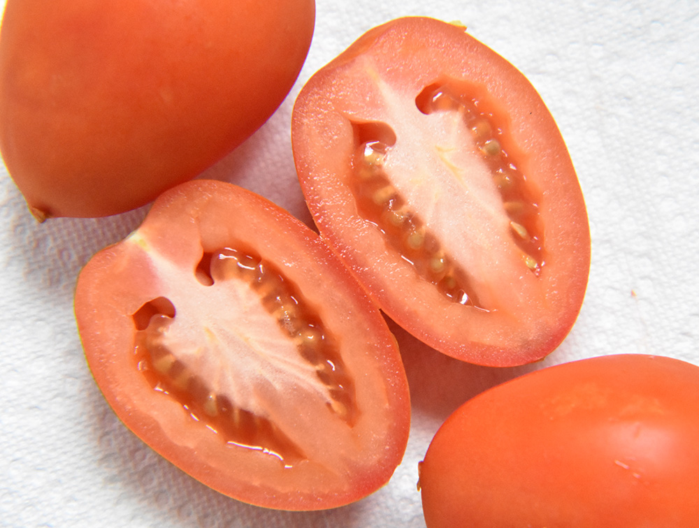 How to Save Tomato Seeds • The Prairie Homestead